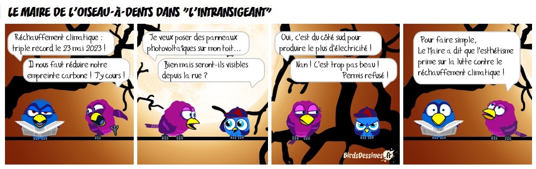 Le Maire de L’Oiseau-à-Dents dans « L’Intransigeant »